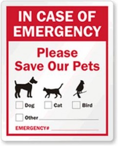 protecting-pets-in-natural-disaster