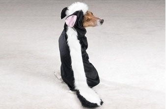 Skunk Bath For Dogs