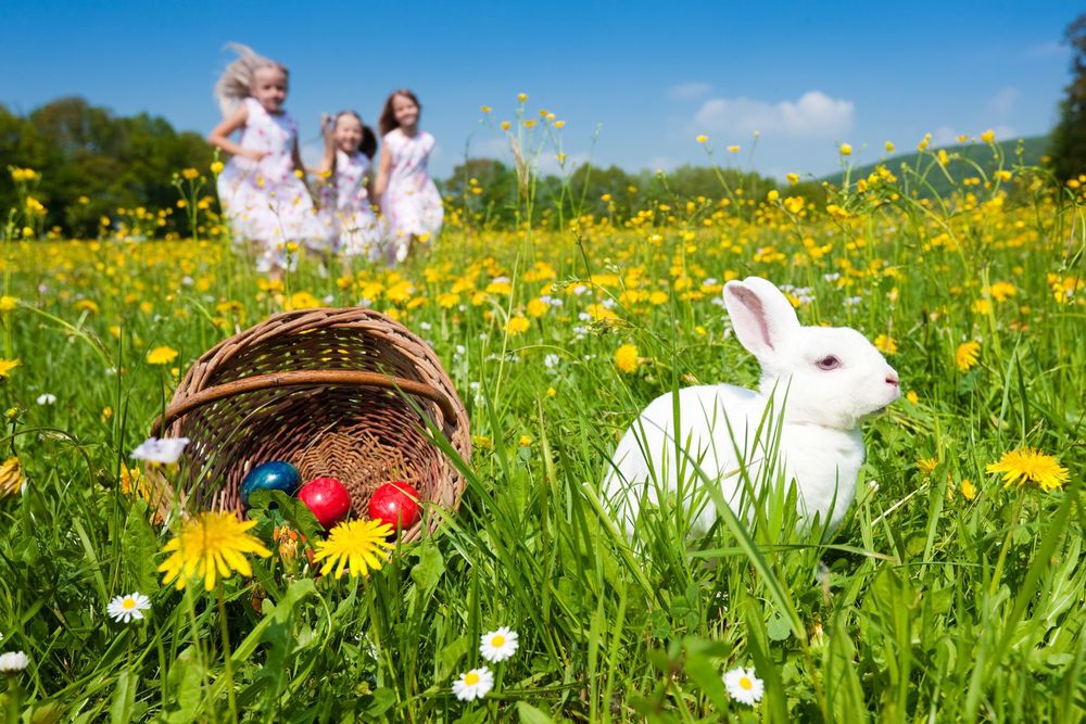 Easter Brings Hope After Death