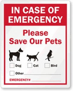 Protecting Pets in Natural Disaster