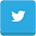 Twitter Tweet
